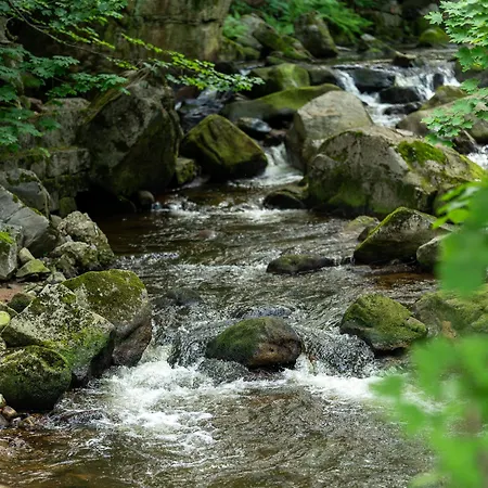 Bozena アパート シクラルスカ・ポレンバ